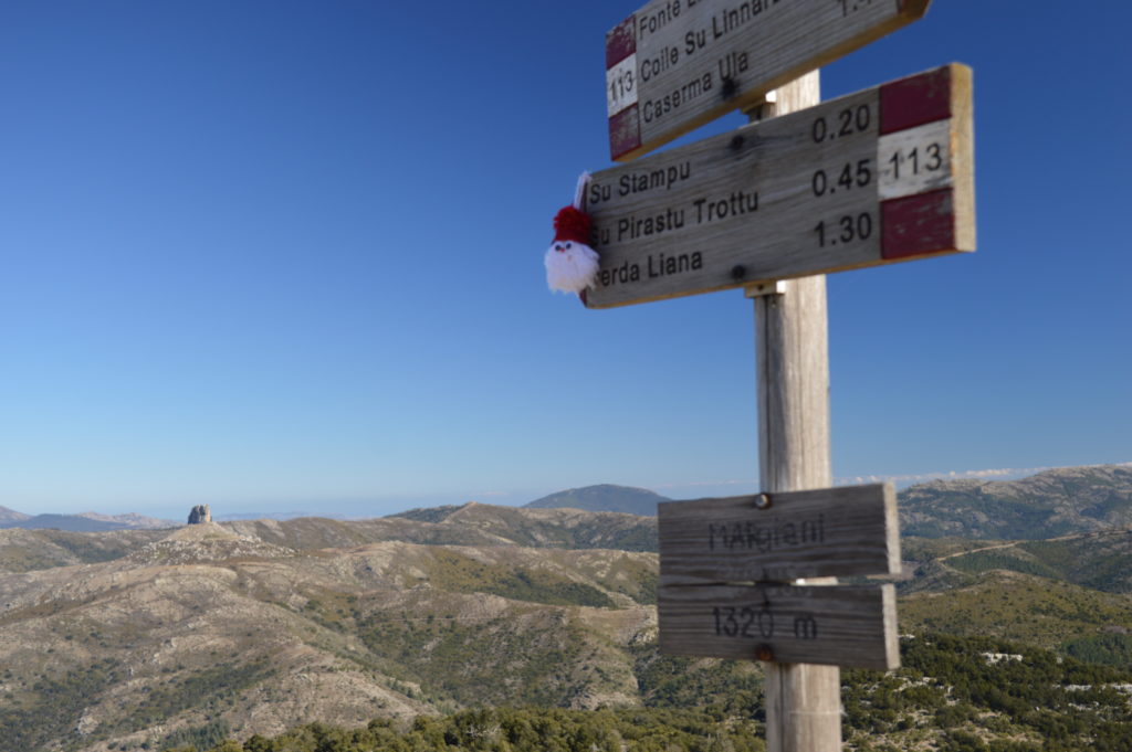 FORESTA DI MONTARBU “PIZZU MARGIANI PUBUSA”