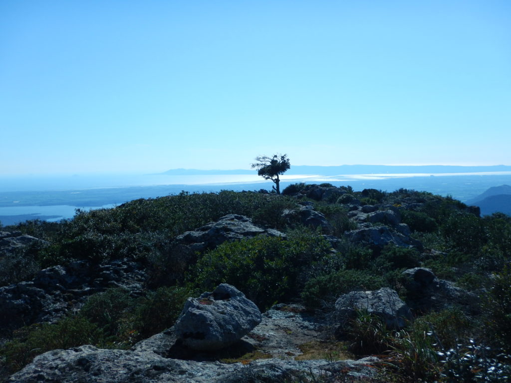 ESCURSIONE A: “SA PRANEDDA” DI MONTE NARCAO